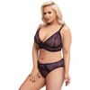 Cottelli Curves Bra Set violetinė 3XL