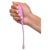 Fantasy For Her FFH Kegel Train-Her Set