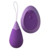 Fantasy For Her FFH Remote Kegel Excite Her Pu