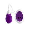 Feelz Toys FeelzToys - Anna Vibrating Egg Remote Deep Violetinė