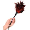 Pipedream Frisky Feather Duster