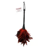 Pipedream Frisky Feather Duster