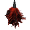 Pipedream Frisky Feather Duster