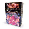 Little Genie Productions Glitterati Party String Lights 20 LED Baterija Operated 4.2m