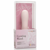 CalExotics Inspire Gyrating Wand Rechargeable Intimate Massager 16.5cm