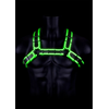 Ouch By Shots Ouch! Bulldog Adjustable Harness Buckle Glow-in-the-Dark L/XL