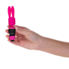 PalmPower - Pocket Extended
