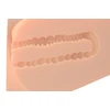 Pipedream PDX PLUS EZ BANG TORSO LIGHT