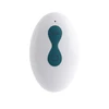 Dreamtoys Evolved PLAYBOY SUKASI UODEGELIO MASALAS