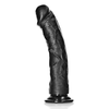 Realrock By Shots RealRock Curved Intimate Model with Suction Cup 25.5cm rusvai gelsvas
