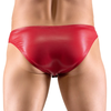 Svenjoyment Men's Briefs L