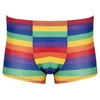 Svenjoyment Vyriškos boksininko kelnaitės Rainbow M