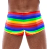 Svenjoyment Vyriškos boksininko kelnaitės Rainbow L