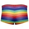 Svenjoyment Vyriškos boksininko kelnaitės Rainbow M
