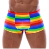 Svenjoyment Vyriškos boksininko kelnaitės Rainbow M