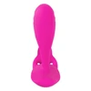 Sweet Smile RC C-&G-Spot Vibra