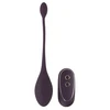 Training Pleasure Balls RC vienas vibruojantis meilės kamuolys