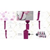 Vive By Shots Rožinė KIKU Double-Ended Wand Rožinė - Dual Motor Intimate Massager, 10 Modes
