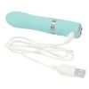 Pillow Talk Pagalvės pokalbis – Flirty Bullet Vibrator Real