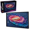 LEGO® Art Paukščių Takas (31212)