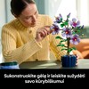 LEGO® Botanicals Kinrožė Rinkinys suaugusiesiems 10372