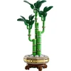 LEGO® Botanicals Laimę nešantis bambukas (10344)
