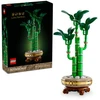 LEGO® Botanicals Laimę nešantis bambukas (10344)