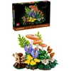 LEGO® Botanicals Miško grybai Konstravimo rinkinys 11505