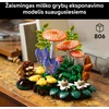 LEGO® Botanicals Miško grybai Konstravimo rinkinys 11505