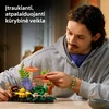 LEGO® Botanicals Miško grybai Konstravimo rinkinys 11505