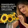 LEGO® Botanicals Saulėgrąžų puokštė, 11502