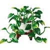 LEGO® Botanicals Svyrantis auksinis skindapas Rinkinys 11512
