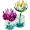 LEGO® Botanicals Vandens lelijos Gėlių rinkinys 11511