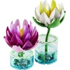 LEGO® Botanicals Vandens lelijos Gėlių rinkinys 11511