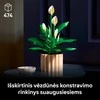 LEGO Botanicals Taikos lelija (Spathiphyllum) 11504