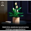 LEGO Botanicals Taikos lelija (Spathiphyllum) 11504