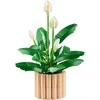 LEGO Botanicals Taikos lelija (Spathiphyllum) 11504