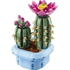 LEGO® Botanicals Žydintis kaktusas Augalų dekoras 11509