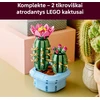LEGO® Botanicals Žydintis kaktusas Augalų dekoras 11509