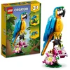 LEGO® Creator 3-in-1 Egzotiška papūga (31136)