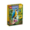 LEGO® Creator 3-in-1 Egzotiška papūga (31136)