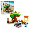 LEGO® DUPLO® Bluey „Picų pardavėjos“ su Muffin ir Bluey 10469