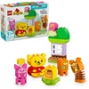 LEGO® DUPLO Mikės Pūkuotuko gimtadienio šventė (10457)