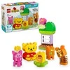 LEGO® DUPLO Mikės Pūkuotuko gimtadienio šventė (10457)