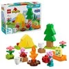 LEGO® Duplo Stovyklavimas (10452)