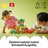 LEGO® DUPLO Balansavimo ir dėliojimo medis (10440)
