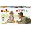 LEGO® DUPLO® Mano pirmasis gyvūnų traukinukas Gamtos žaislas 10412