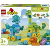 LEGO® DUPLO® Town Dinozaurai ant ratukų „trys viename“ 10451