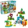 LEGO® DUPLO Laukinių gyvūnų šeimos „trys viename“ (10446)