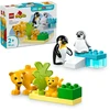 LEGO® DUPLO Laukinių gyvūnų šeimos: pingvinai ir liūtai (10442)